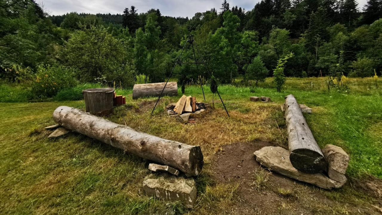 Wies Odnowa Łabowa المظهر الخارجي الصورة