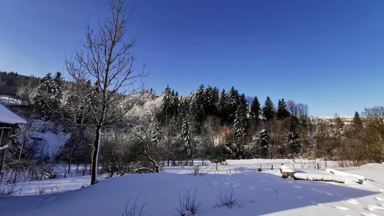 Wies Odnowa Łabowa المظهر الخارجي الصورة
